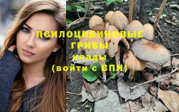 синтетический гашиш Алексеевка