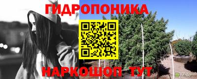 сатива Славгород