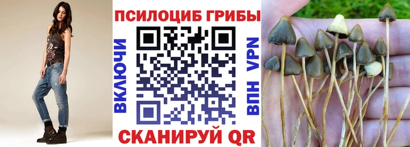 Псилоцибиновые грибы ЛСД даркнет сайт Благовещенск