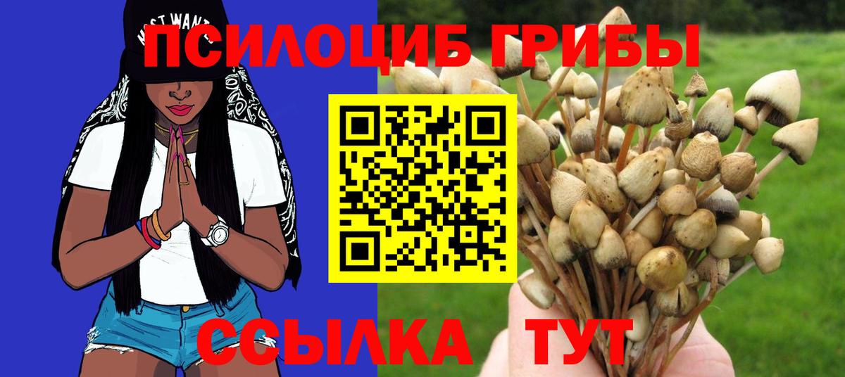 Галлюциногенные грибы мухоморы Благовещенск