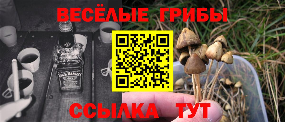 Галлюциногенные грибы прущие грибы  Вход с VPN  как найти   Благовещенск 
